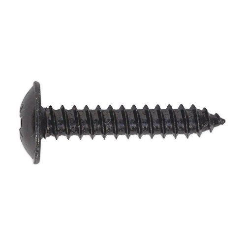 Self Tapping Screw 4.8 x 25mm Flanged Head Black Pozi Pack o