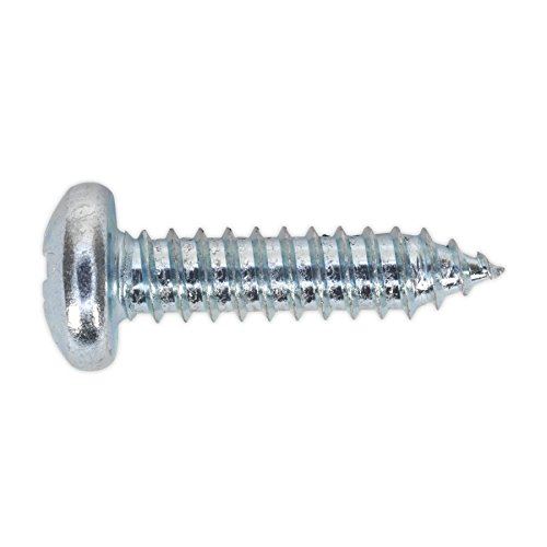 Self Tapping Screw 6.3 x 25mm Pan Head Pozi Zinc Pack of 100