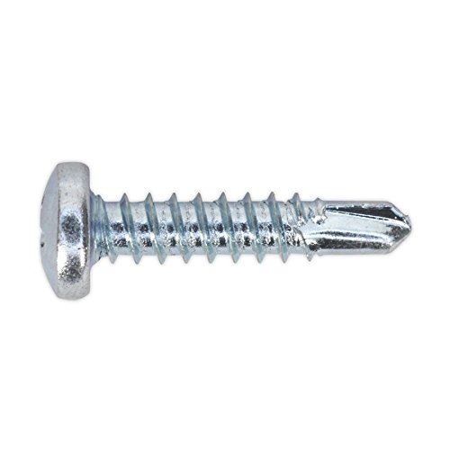 Self Drilling Screw 4.2 x 19mm Pan Head Phillips Zinc Pack o