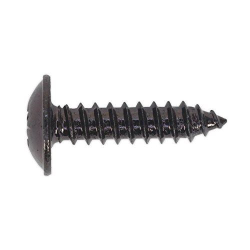 Self Tapping Screw 4.8 x 19mm Flanged Head Black Pozi Pack o