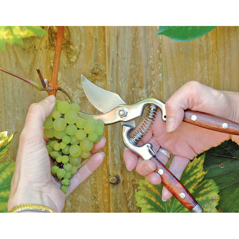 Bypass Pattern Secateurs (210mm)