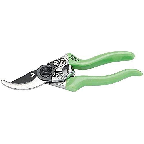 Bypass Pattern Secateurs (210mm)