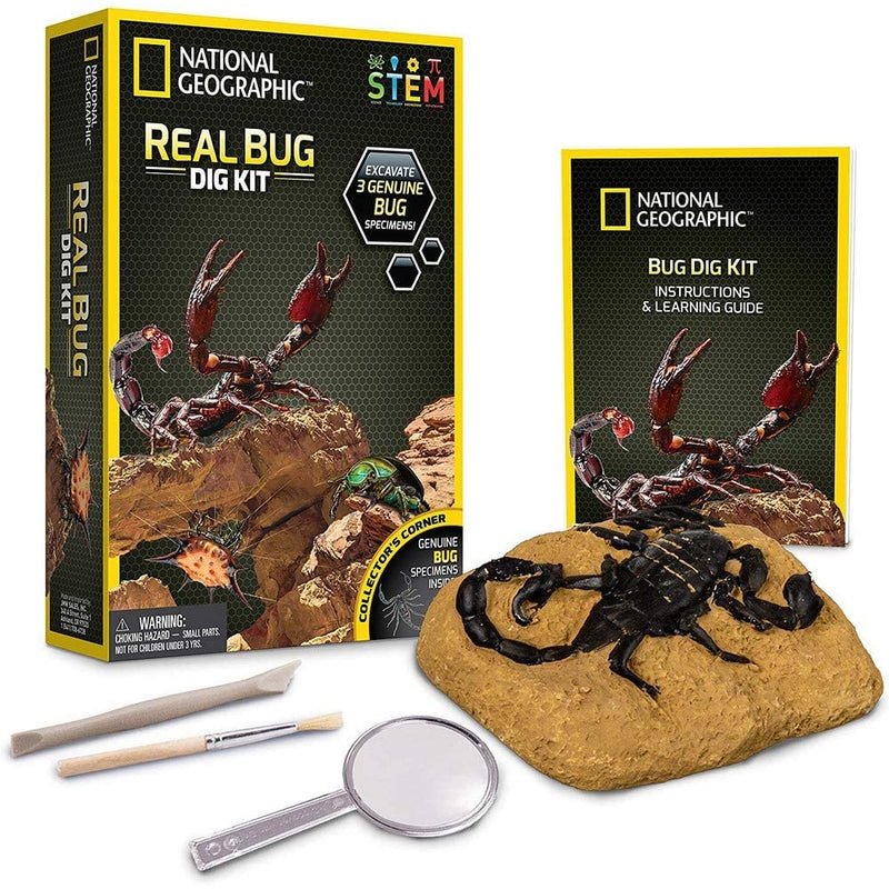 National Geographic JM00645 Real Bug Dig Kit