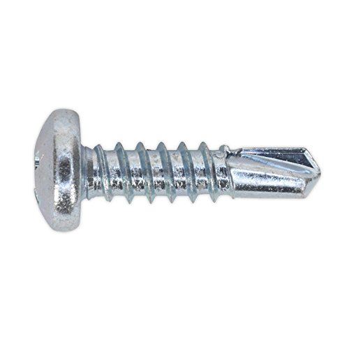 Self Drilling Screw 4.8 x 19mm Pan Head Phillips Zinc Pack o