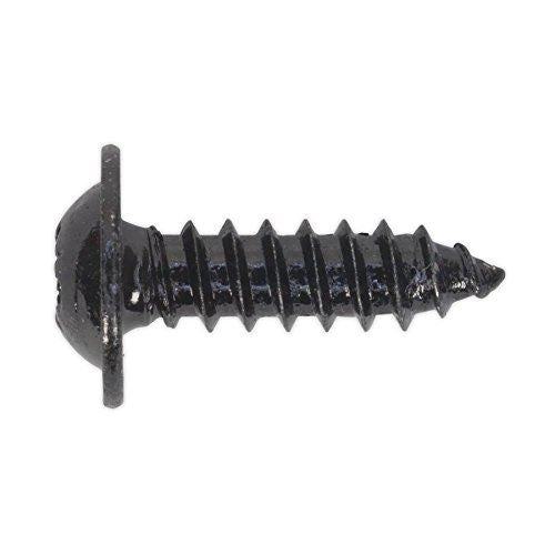 Self Tapping Screw 4.8 x 16mm Flanged Head Black Pozi Pack o