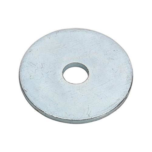 Repair Washer M5 x 25mm Zinc Plated Pack of 100