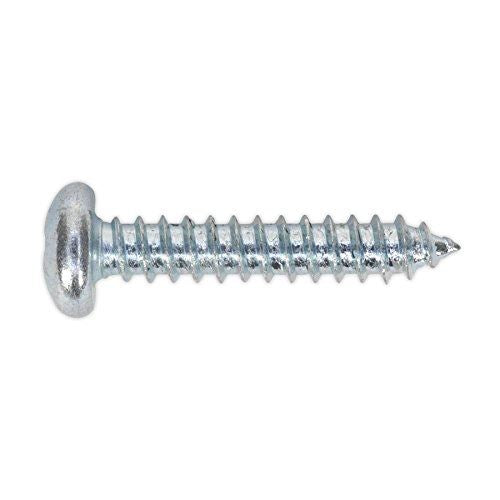 Self Tapping Screw 4.8 x 25mm Pan Head Pozi Zinc Pack of 100