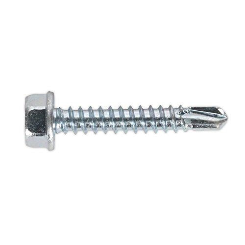 Self Drilling Screw 4.2 x 25mm Hex Head Zinc Pack of 100