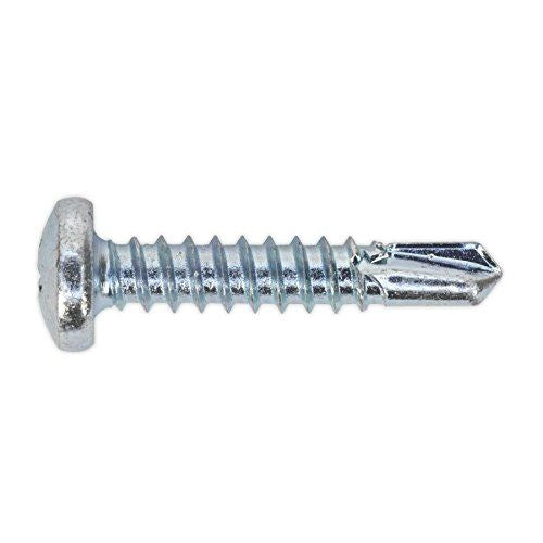 Self Drilling Screw 4.8 x 25mm Pan Head Phillips Zinc Pack o