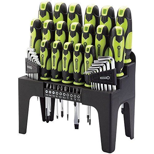 Screwdriver, Hex Key and Bit Set (Green) (44 Piece)