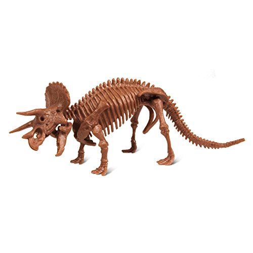 Dr Steve Hunters Dino Dig Excavation Kit Triceratops