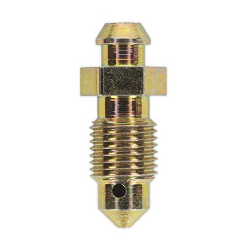 Brake Bleed Screw M10 x 30mm 1mm Pitch Pack of 10