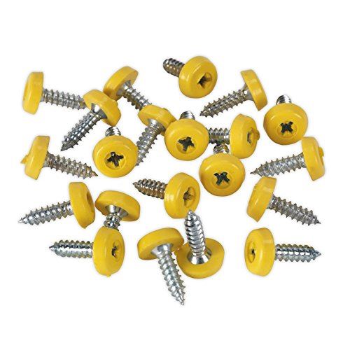 Numberplate Screw Plastic Enclosed Head 4.8 x 18mm Yellow Pa