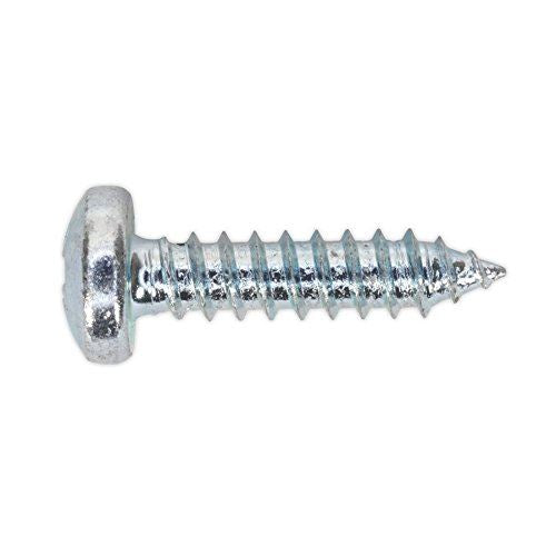 Self Tapping Screw 4.8 x 19mm Pan Head Pozi Zinc Pack of 100