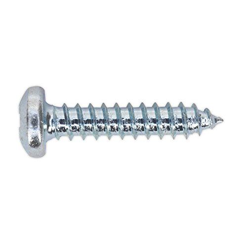 Self Tapping Screw 4.2 x 19mm Pan Head Pozi Zinc Pack of 100