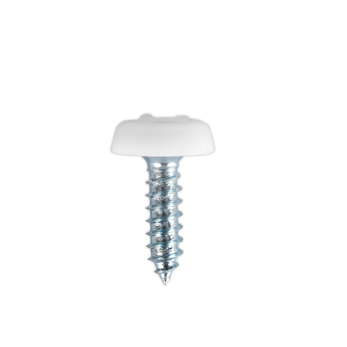 Numberplate Screw Plastic Enclosed Head 4.8 x 18mm White Pac